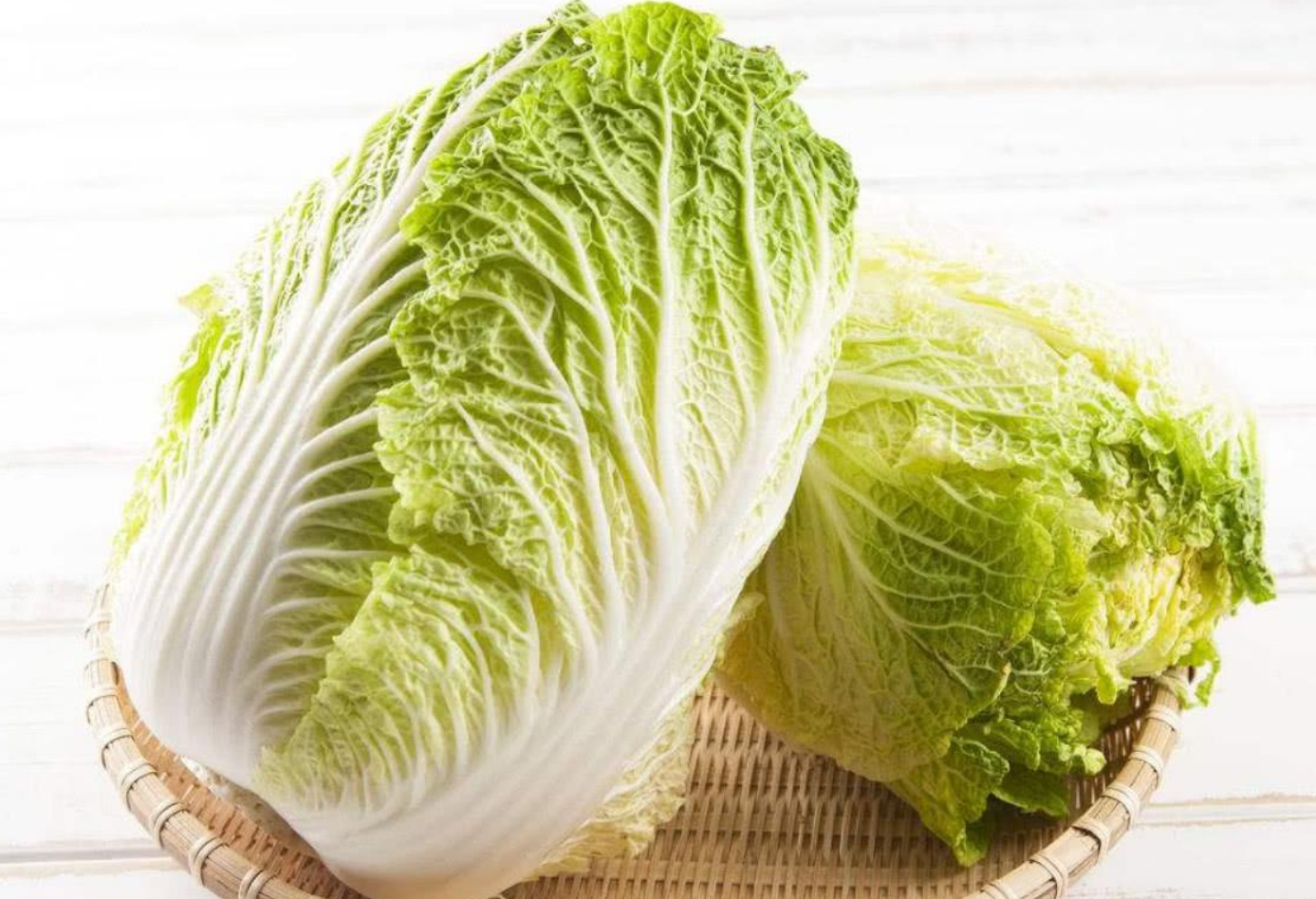 优质大白菜