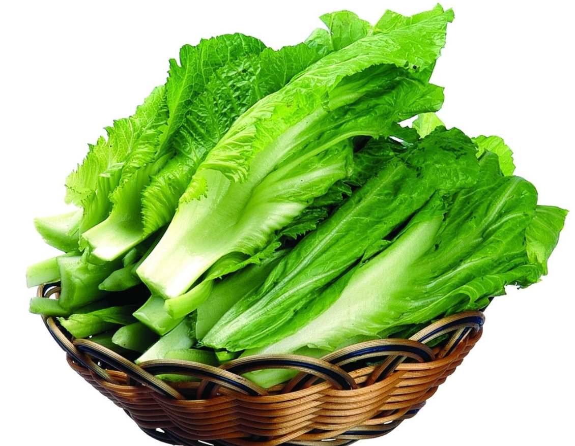 南通青菜
